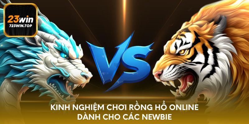 Kinh nghiệm chơi Rồng Hổ online dành cho các newbie